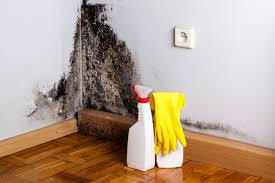 Best Residential Mold Inspection & Testing  in Marriott Slaterville, UT